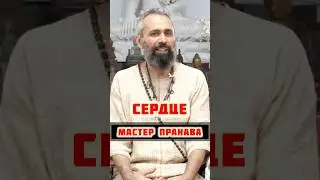 Сердце ❤️ середина целого