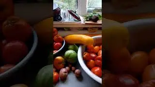 Все что удалось спасти. #семья #топ #семейный #влог #деревня