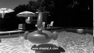 ShastaLA