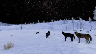 Deadly Inexperienced Decisions | Magpie Pack | Ep 10 | S2 (Final) | WolfQuest Anniversary Edition