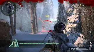 Такой урон у пятипалочников