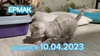 знакомьтесь наш пацан