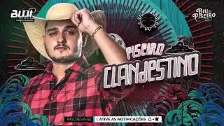 só toca as melhores de biu do piseiro ( piseiro clandestino)