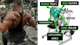 SEATED ROW MACHINE #shorts