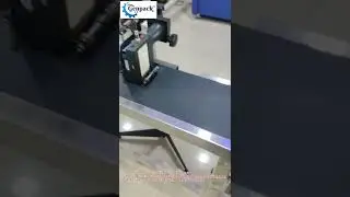 Online Inkjet batch Coding Machine for printing on electric switch , fan regulator , switch board