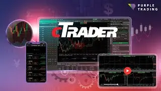 cTrader Desktop & Web - Platform Settings & API