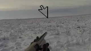 охота на зайца в степи 2021
