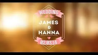 Wedding Titles Vol.2 - After Effects Template