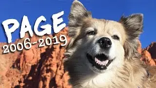 Page Has Passed Away