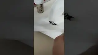 goodbye Oreo 😭😭😭 #shorts #trending #viral #fishing #fish