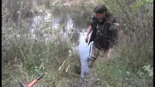 Foothold Traps and Lenon Lure Beaver Trapping - Nuisance Beaver Removal
