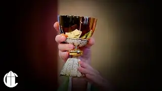 Catholic Mass Today: 6/11/24 | Memorial of Saint Barnabas