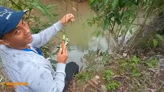 MANTAAB, IKAN WADER GORENG CRISPY, HASIL MANCING LANGSUNG DI MASAK, JOZ GANDOS.