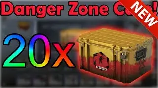 (New csgo case!) CS:GO Case Opening! 20x Danger Zone Case! ez money or rip? :O