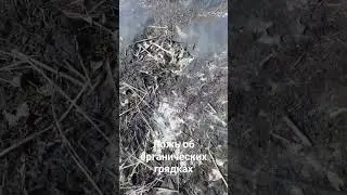 Правильное земледелие Живая Почва