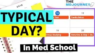 A Typical Day Of A Medical Student [3-Minute Thursdays]