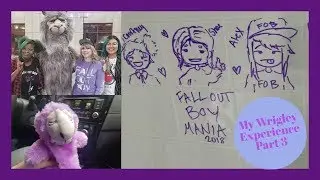 Fall Out Boy| My Wrigley Experience Part 3