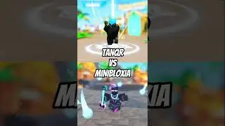 TanqR VS MiniBloxia (Roblox Bedwars)