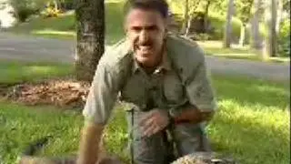 Miami Metrozoo's 2 @ the Zoo with Ron Magill - Komodo dragons