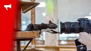 Контактный зоопарк 