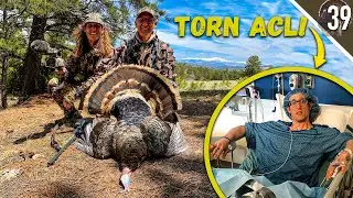 The Season I ALMOST MISSED! - Public Land Merriam’s Hunting