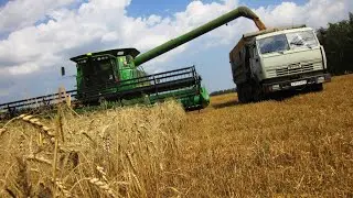 УБОРКА ПШЕНИЦЫ 2022
