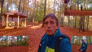 Ultraweitwinkelfotografie Waldfriedhof im Herbst