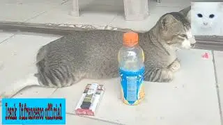 Kejadian Tak terduga