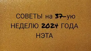 🍀 Советы на тридцать седьмую неделю 2024 года. Нэта