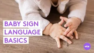 Baby Sign Language Basics to Know - What to Expect