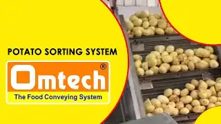 Potato sorting system | Food Conveyor Belt, food conveyor belt for sale