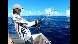 Jigging en Guadeloupe (Requin)
