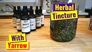 How To Make Herbal Tincture | Yarrow