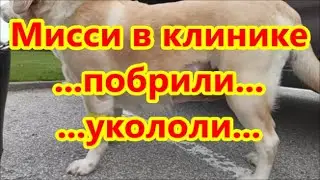 Отвезли в клинику
