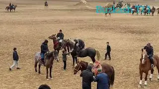 Бузкаши Ш Хисор Шерафган  ва Асо дунёра бин