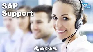 SERKEM - SAP Support