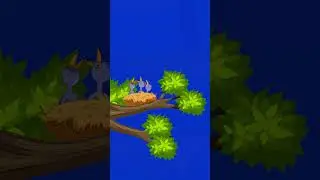 Birds Animation