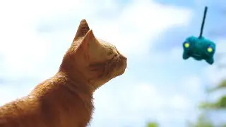 You Probably Forgot about STRAY  (Fixed/Improved Audio & Voice-overs)