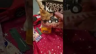 Assorted Chips & cashew nuts for maddog #ASMR #full of goodies for doggie #viral maddog #short (5)