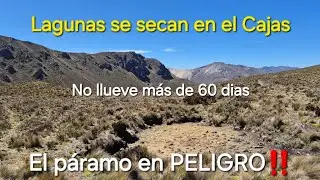 Lagunas del Cajas se secan! Un recorrido por el páramo hasta el cerro Chuzalongo
