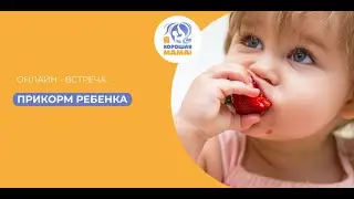 Прикорм ребёнка