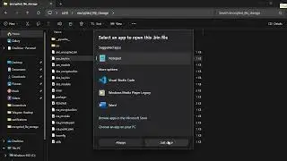 CS50P - Final Project on Encrypting file storage system | CS50P PYTHON FINAL PROJECT