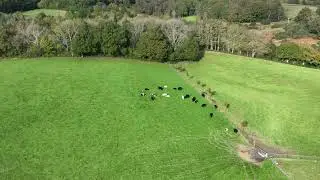 DJI Mavic 3 telephoto lens sample footage at 1xZoom