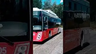 Обзор троллейбуса МАЗ 203Т20, номер 305. Первый день на линии