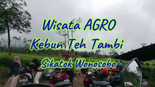 Vlog perjalanan ke AGRO WISATA Kebun Teh Tambi, Start Pasar Ngadirejo