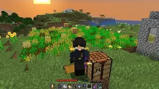 *Doing Thingz (infuse smp)
