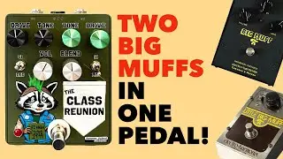 Playing Every Summer School Pedal (Trash Panda Modded Big Muff, Snow Day Delay, & New Class Reunion)