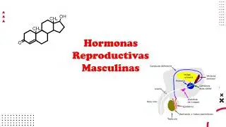 CIENCIA Y TECNOLOGÌA