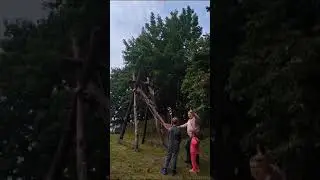Катапульта Брандербурга