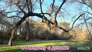 Пока без названия